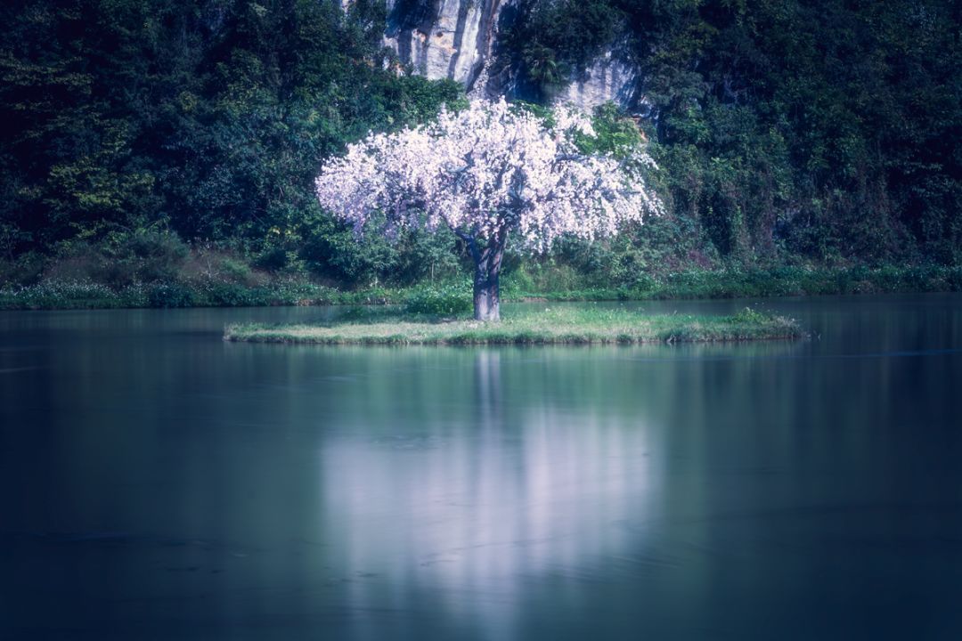 色彩调色技巧与方法,调色没有思路怎么办