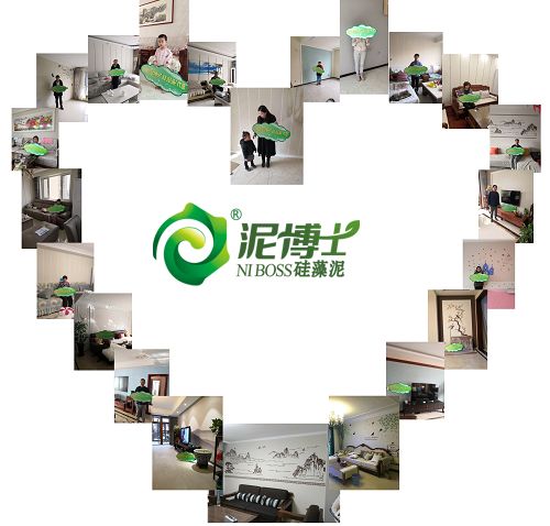 绿森林硅藻泥和兰舍硅藻泥的区别,兰舍硅藻泥介绍