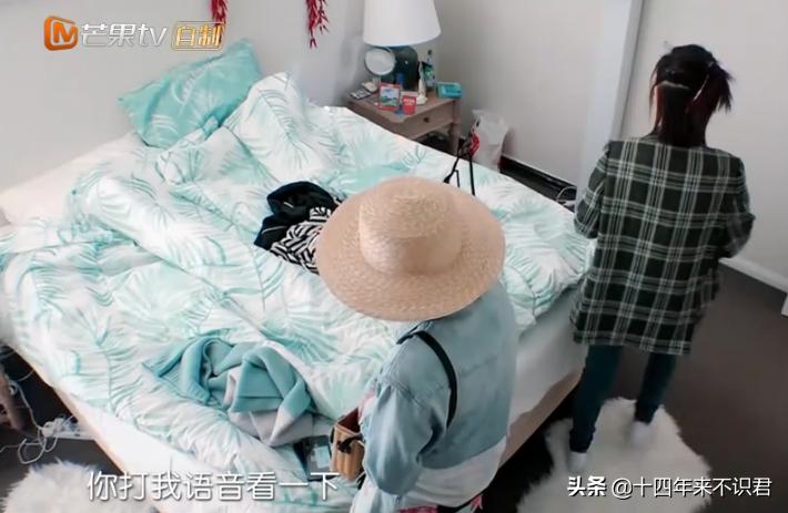 张嘉倪和妻子团,张嘉倪感情