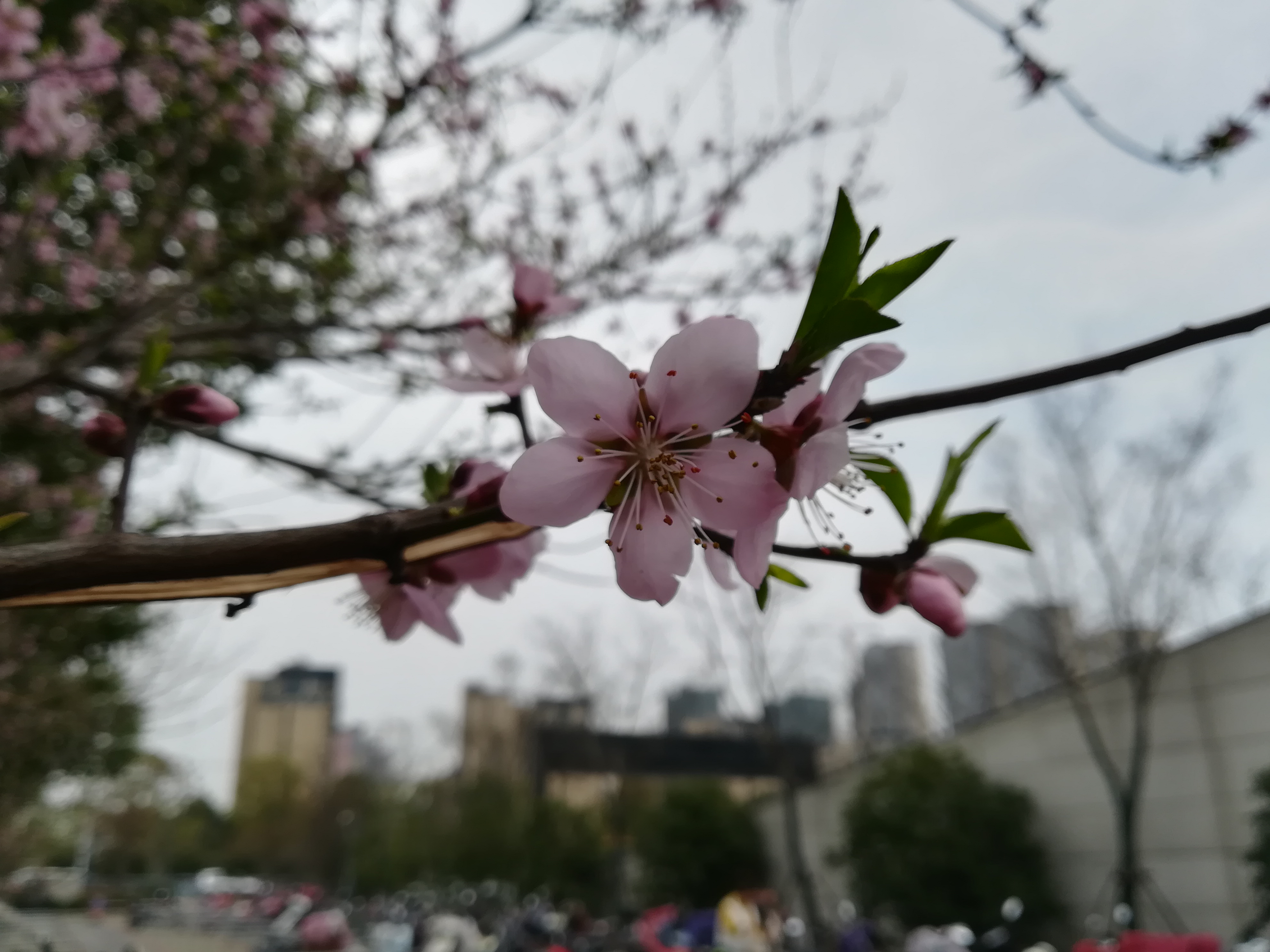 苏州越溪永旺梦乐城,苏州新区永旺梦乐城