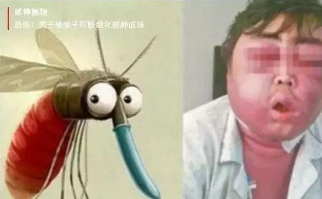 断桥铝窗户装纱窗好还是不装好,生活阳台防蚊纱窗装好还是不装好