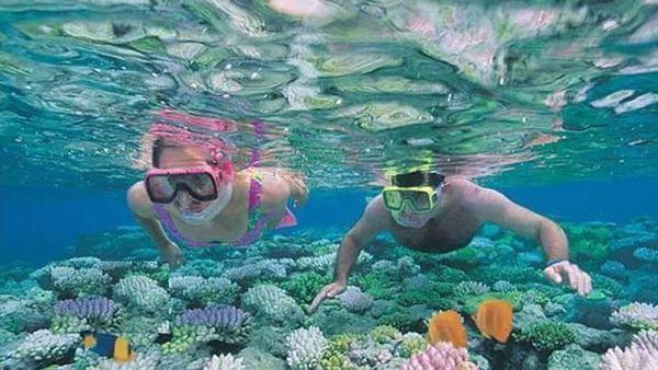 广东有哪些海岛值得去,广东附近的海岛海滩推荐