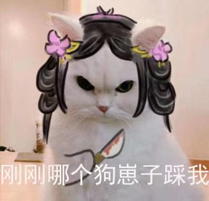 为什么要违背祖训?剑三奶花交星楼奶队友,却被嫌弃怎么被抓死了