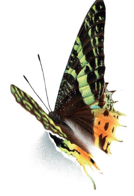 3d错觉画教程,3d错觉画作品