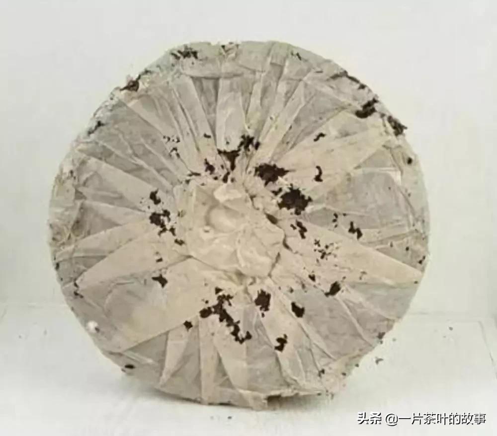 你家的茶叶长“茶虫”吗？冬季“四防”要诀