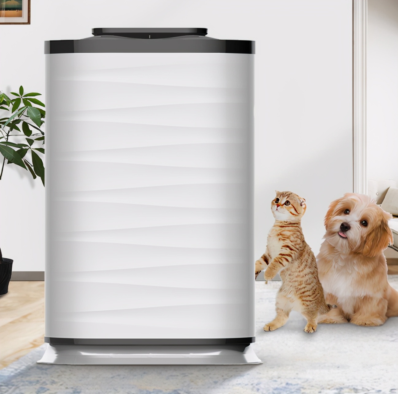 装修过后怎么除甲醛最好,装修过后怎么除甲醛最有效