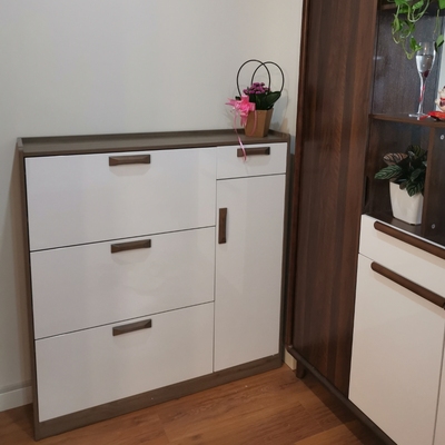 全屋定制翻斗鞋柜制作,定制的翻板鞋柜怎么装门