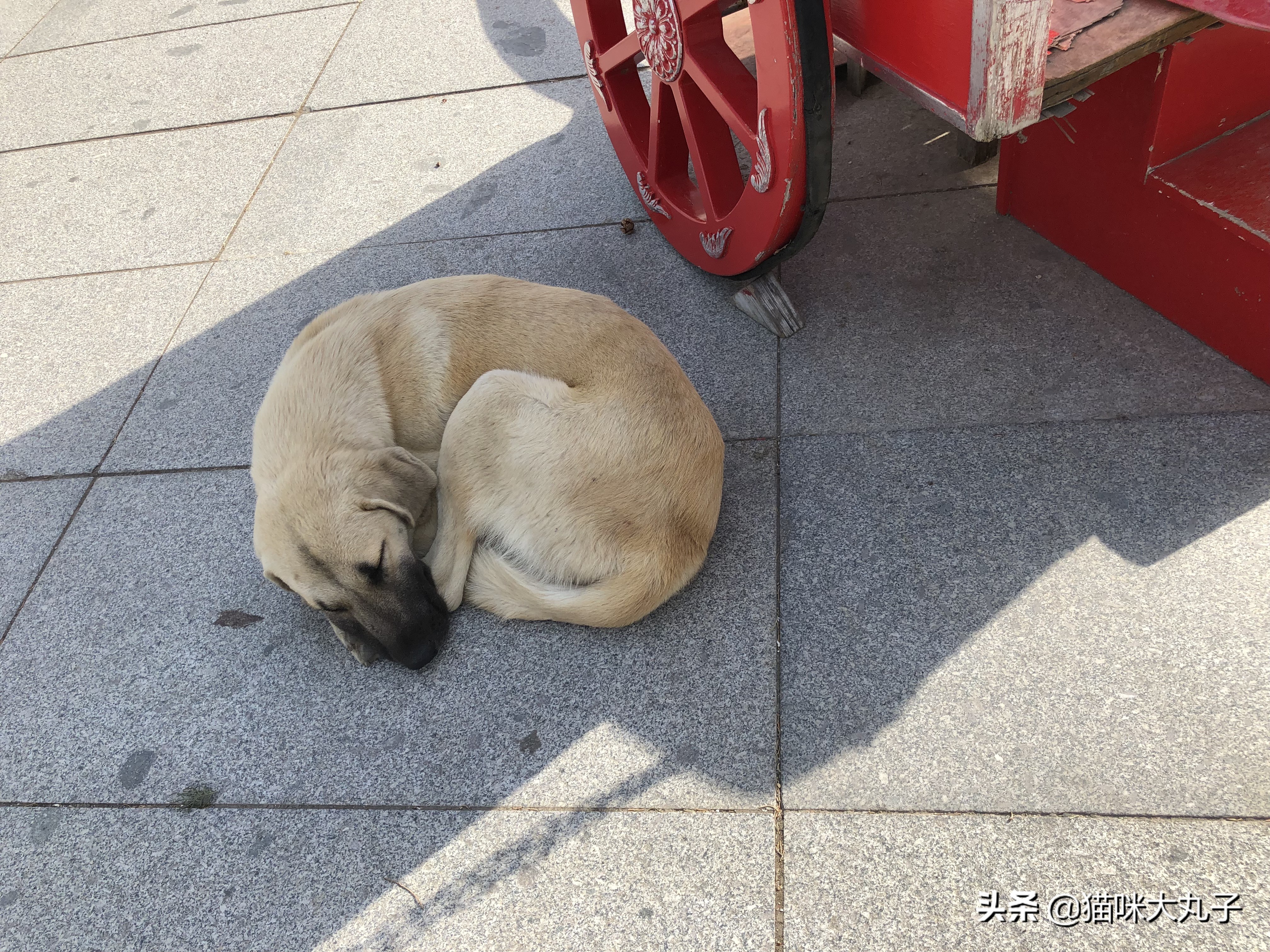 浪漫的土耳其热气球飞行之旅,热气球不仅仅在浪漫的土耳其
