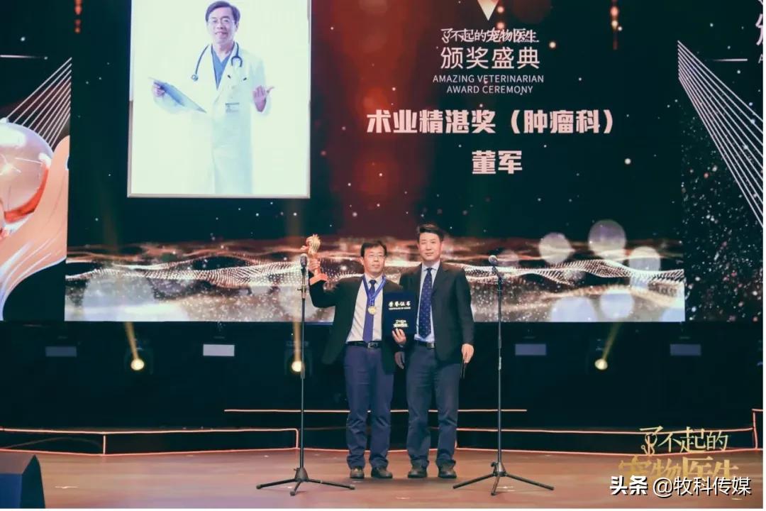 初心如磐笃行致远中国人寿,初心如磐笃行致远军训落幕篇