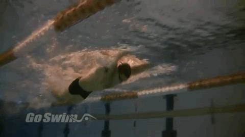 “教练，为啥我蝶泳屁股露不出水面？”“来，给你分析几个原因”