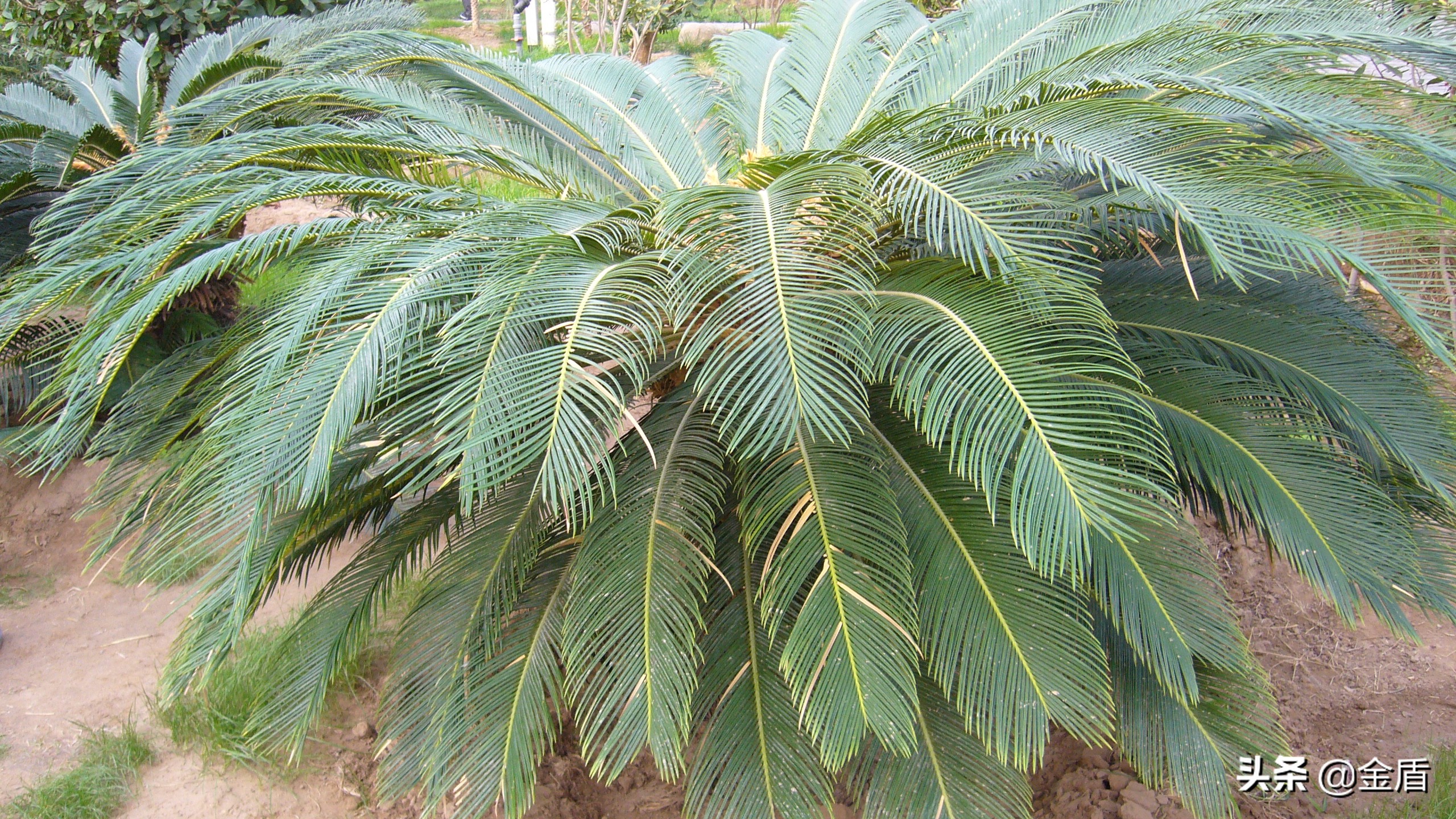 九天休闲谷俯视图,九天休闲谷适合春天去吗