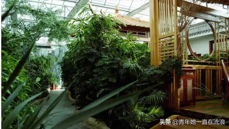 甘肃定西夏天,到定西过一个只有22度的夏天