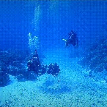 人间仙境之帕劳,帕劳是位于太平洋上的一个小国