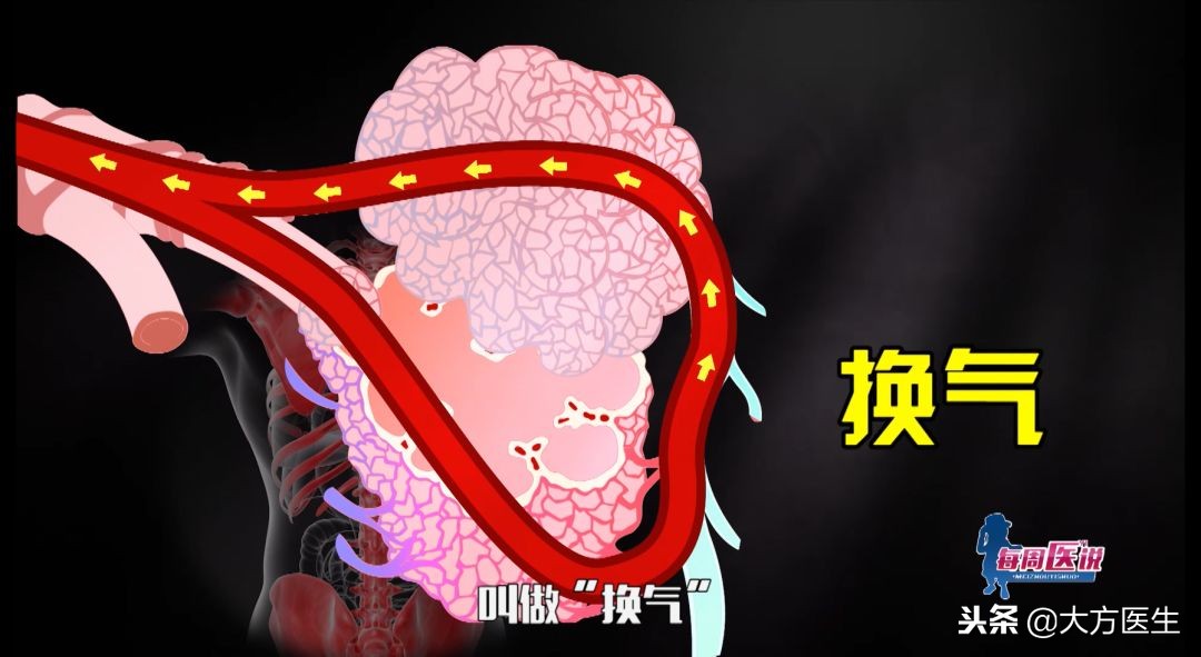 胸片没事排除肺病吗,胸片没事是不是可以排除肺炎