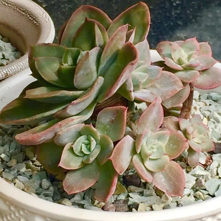 记录走过的美景留下美好的回忆,记录走过的每一段美好时光