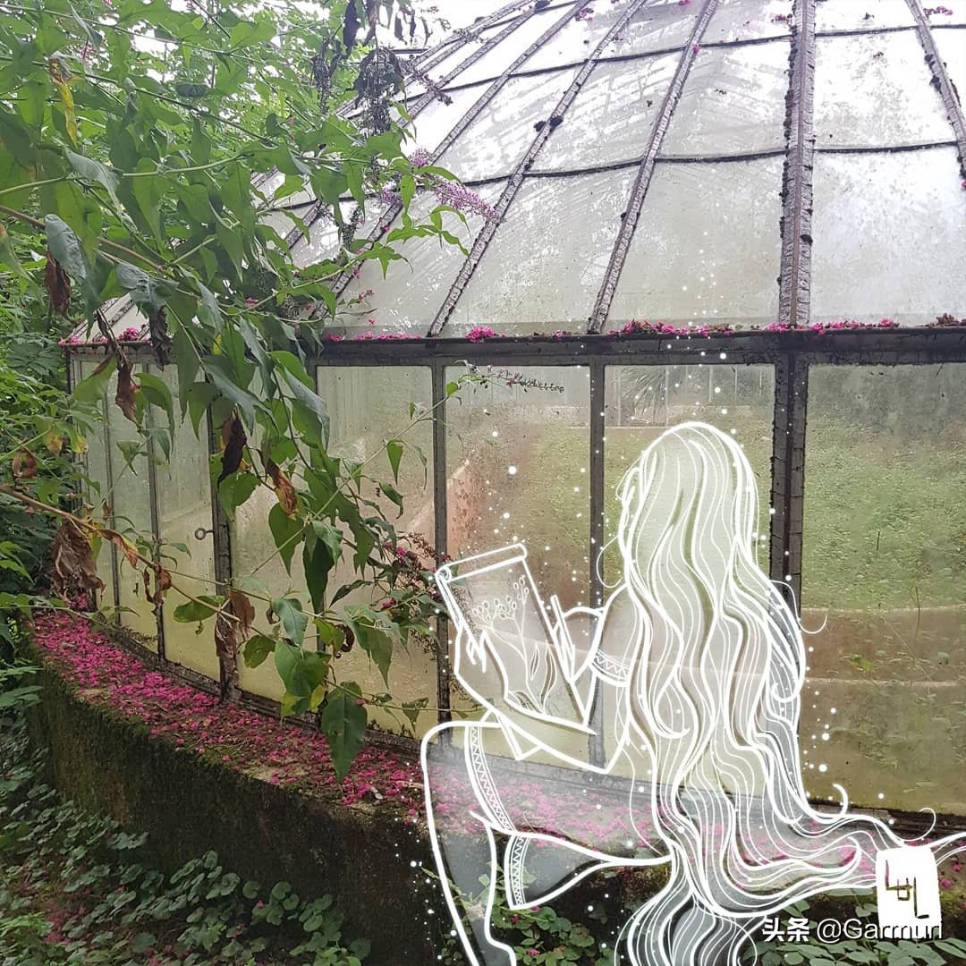 艺术|LulAlilalou看到的神奇世界