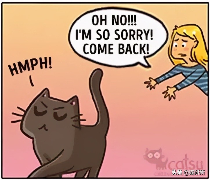 猫咪总是打扰主人吃饭怎么办,猫咪总是打扰我睡觉怎么办