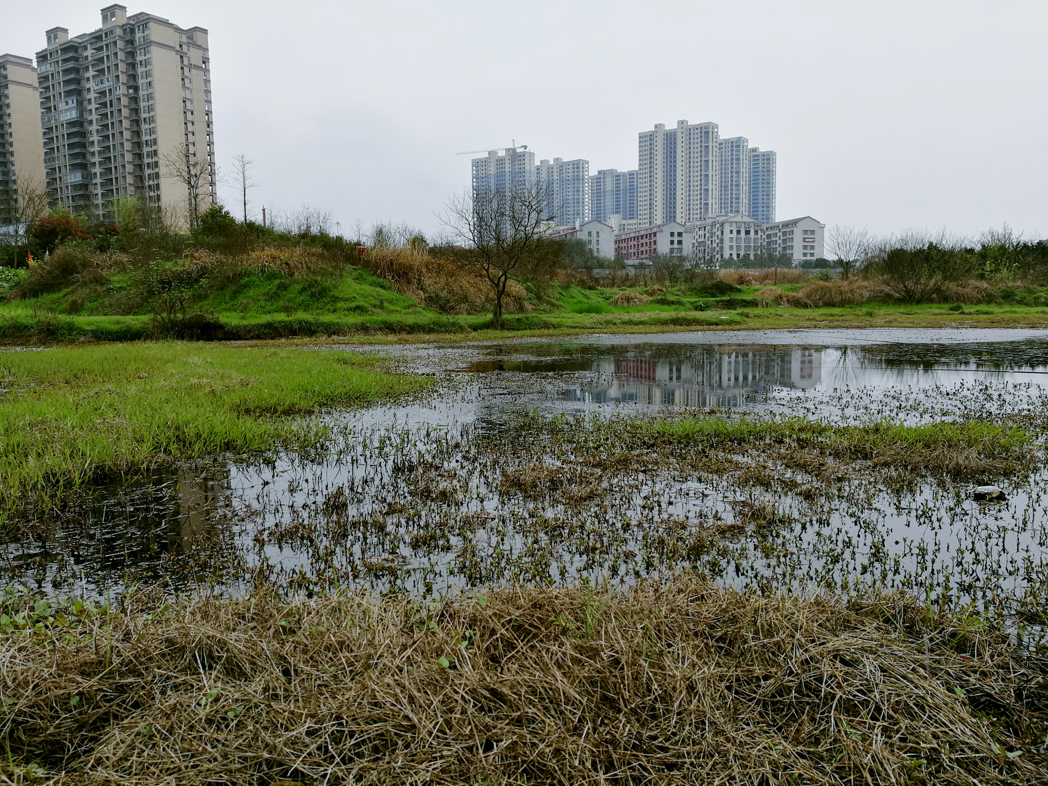 怎样钓黑鱼最好方法,黑鱼垂钓技巧