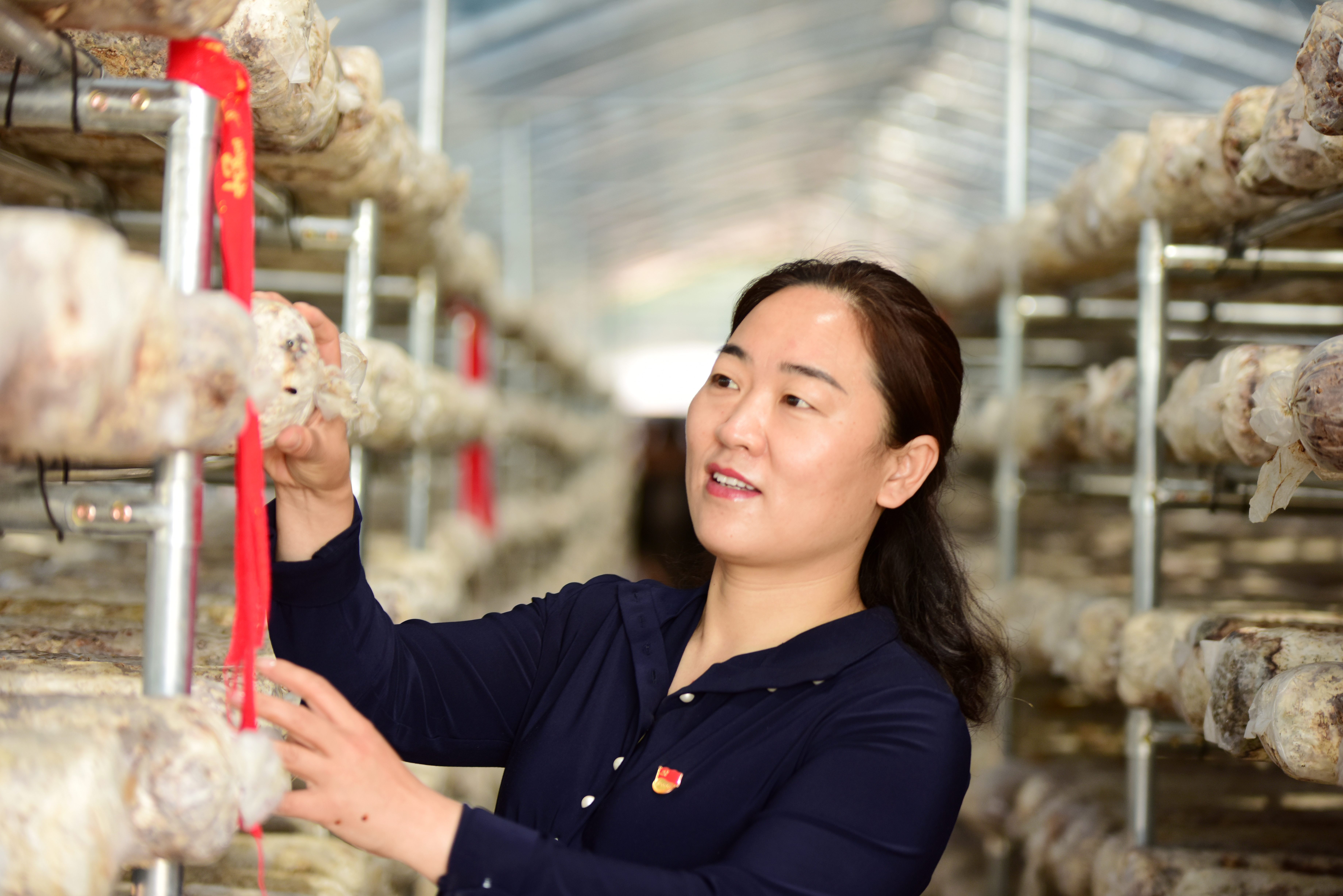 帮扶村换新颜,脱贫攻坚山村旧貌换新颜完整版