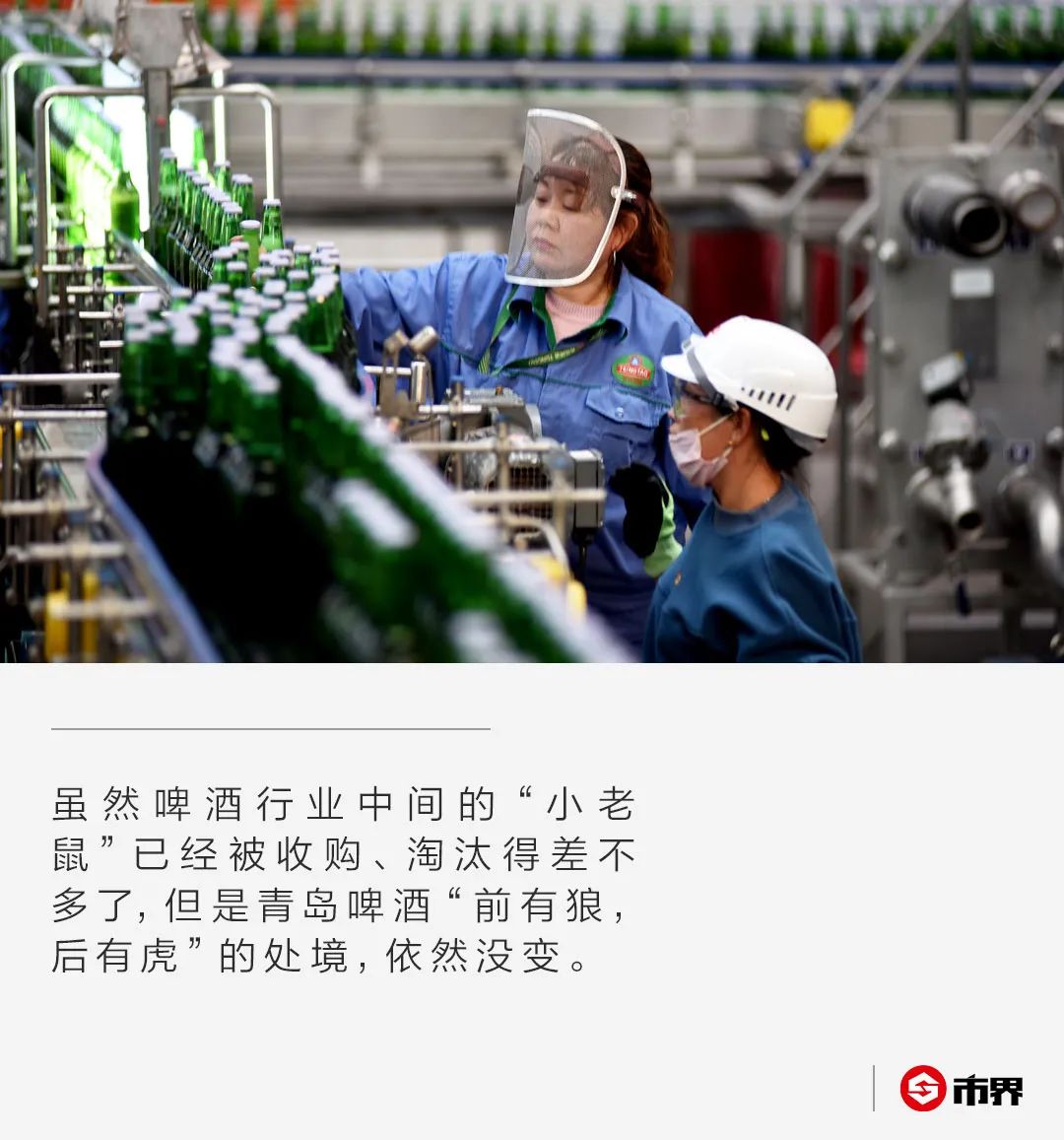 青岛原浆啤酒7天鲜活有点苦,青岛啤酒白啤3瓶