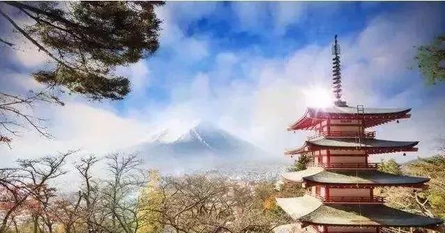 东京23区域的特点,东京23区居住体验对比