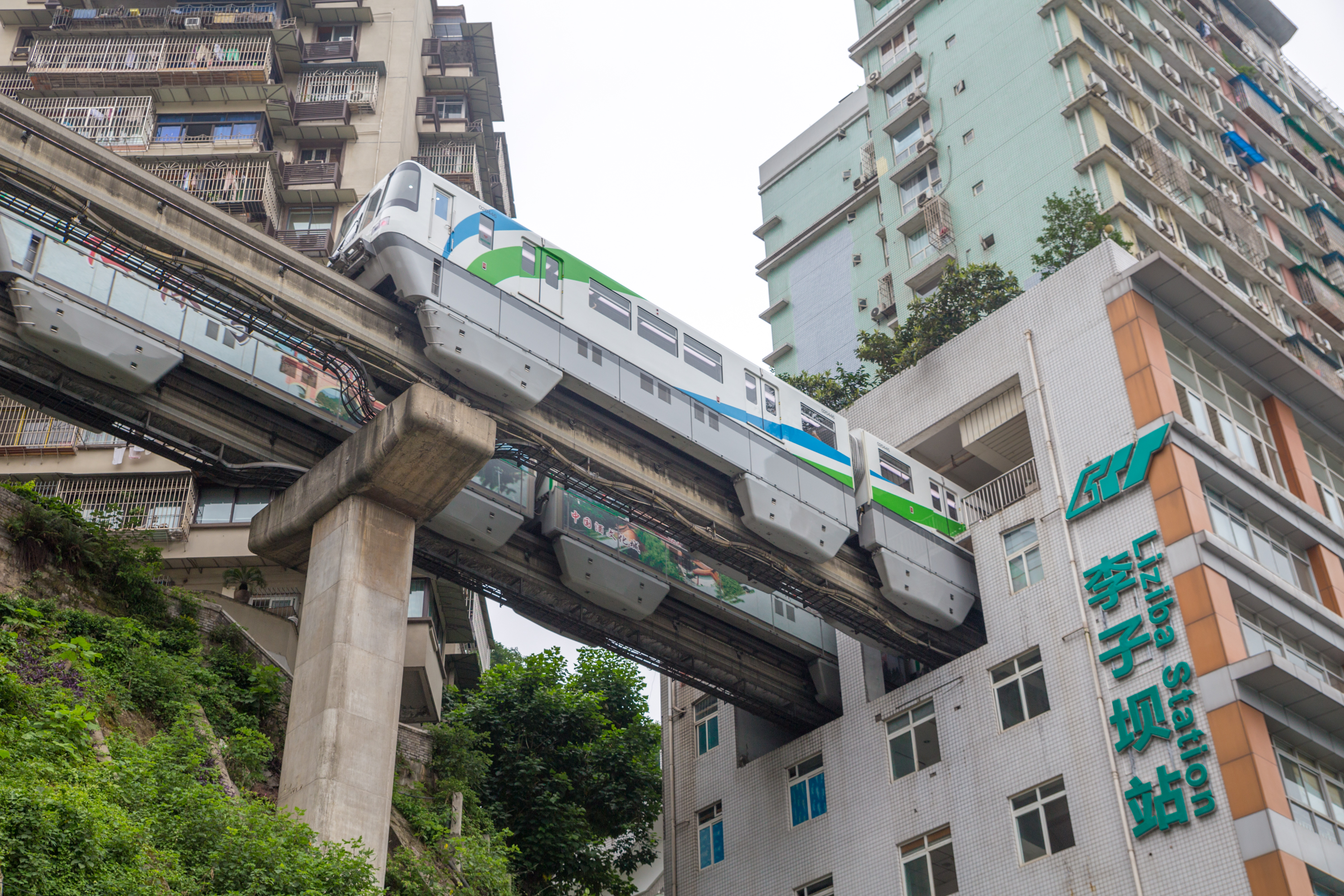 成都和重庆哪个更适合旅游,成都与重庆哪个更好