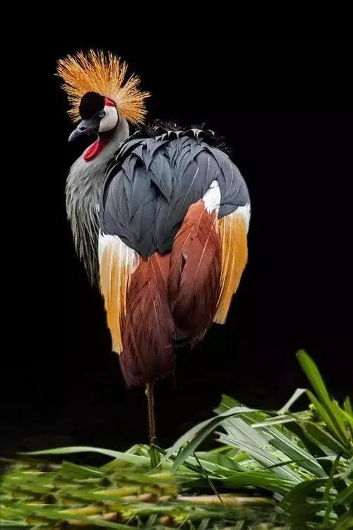 社会犹如一条船,社会就像一个丛林