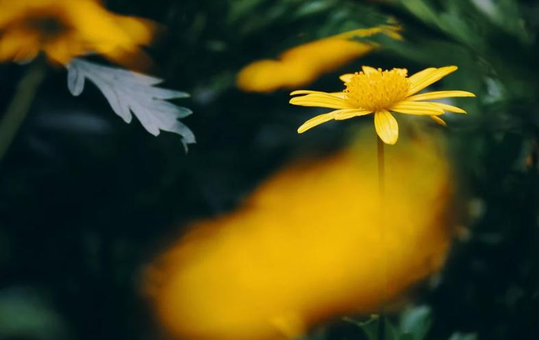 难相处的婆婆调解,有个高情商的婆婆如何相处