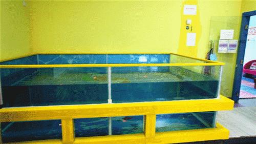 想投资一个游泳馆,想创业小项目