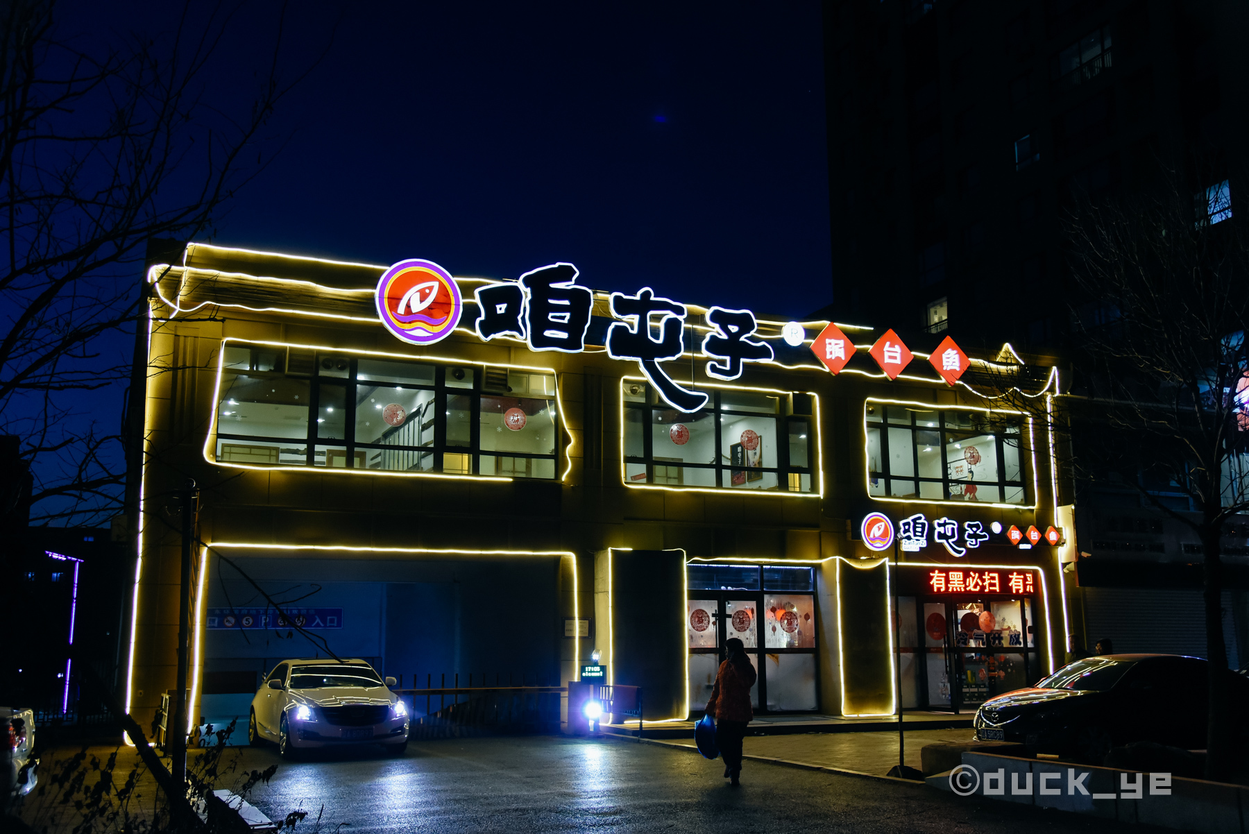 东北做鱼方法铁锅炖大鱼,东北大锅炖一大桌