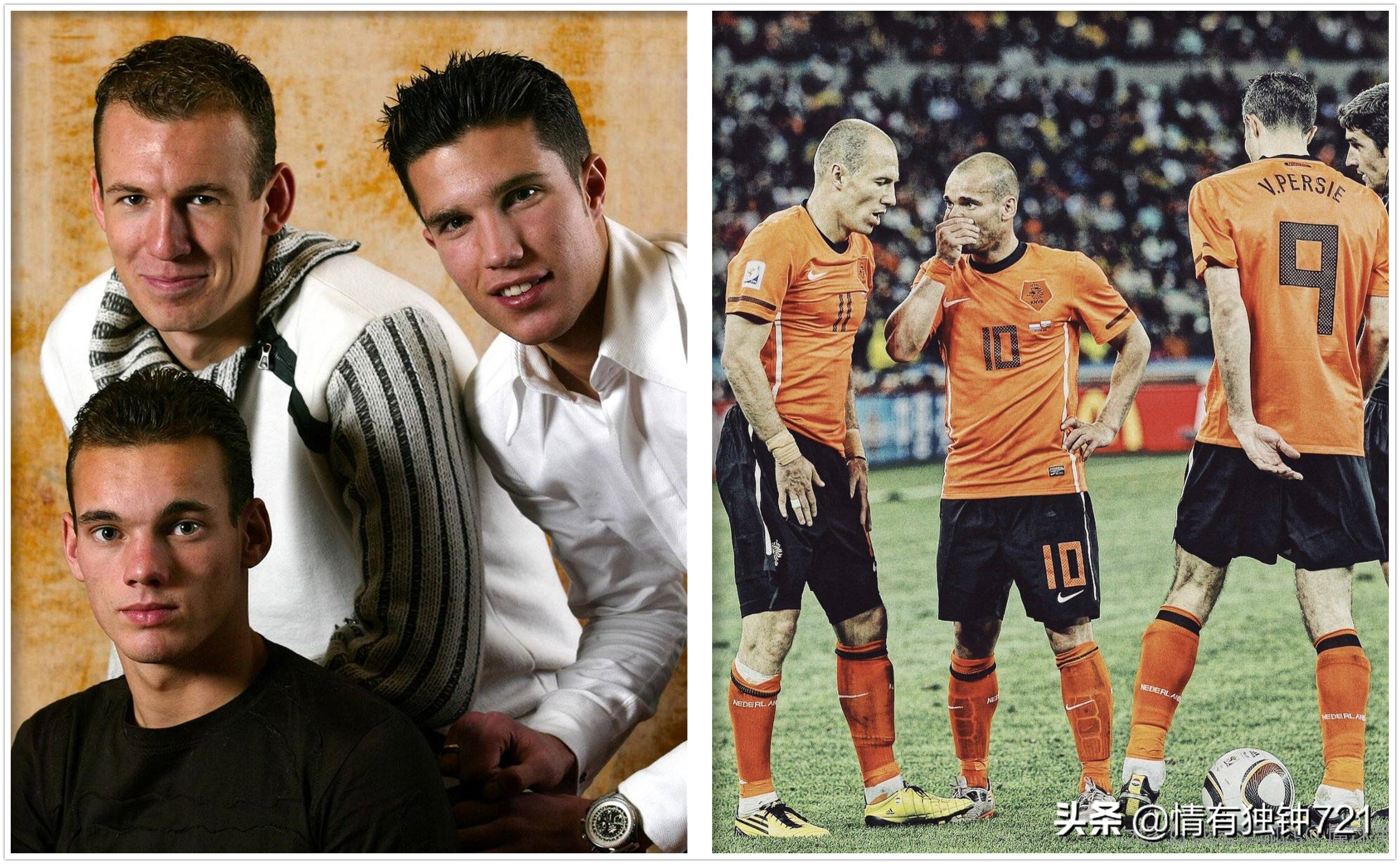 郁金香将再次绽放荷兰,郁金香还会再开花吗