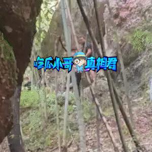 张含韵穿短裙现身,张含韵穿黑裙子