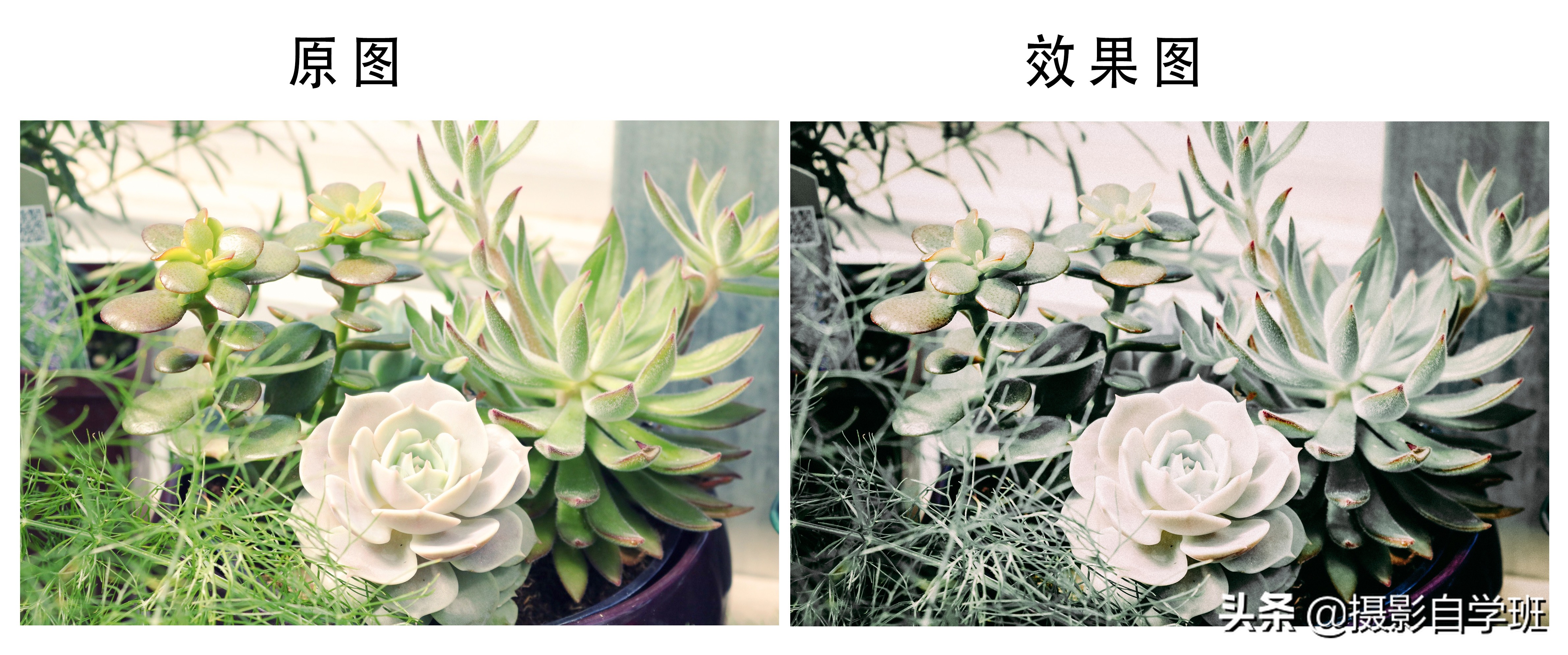 风景照片调色教程lr调色思路,lr修图红色怎么调成青色