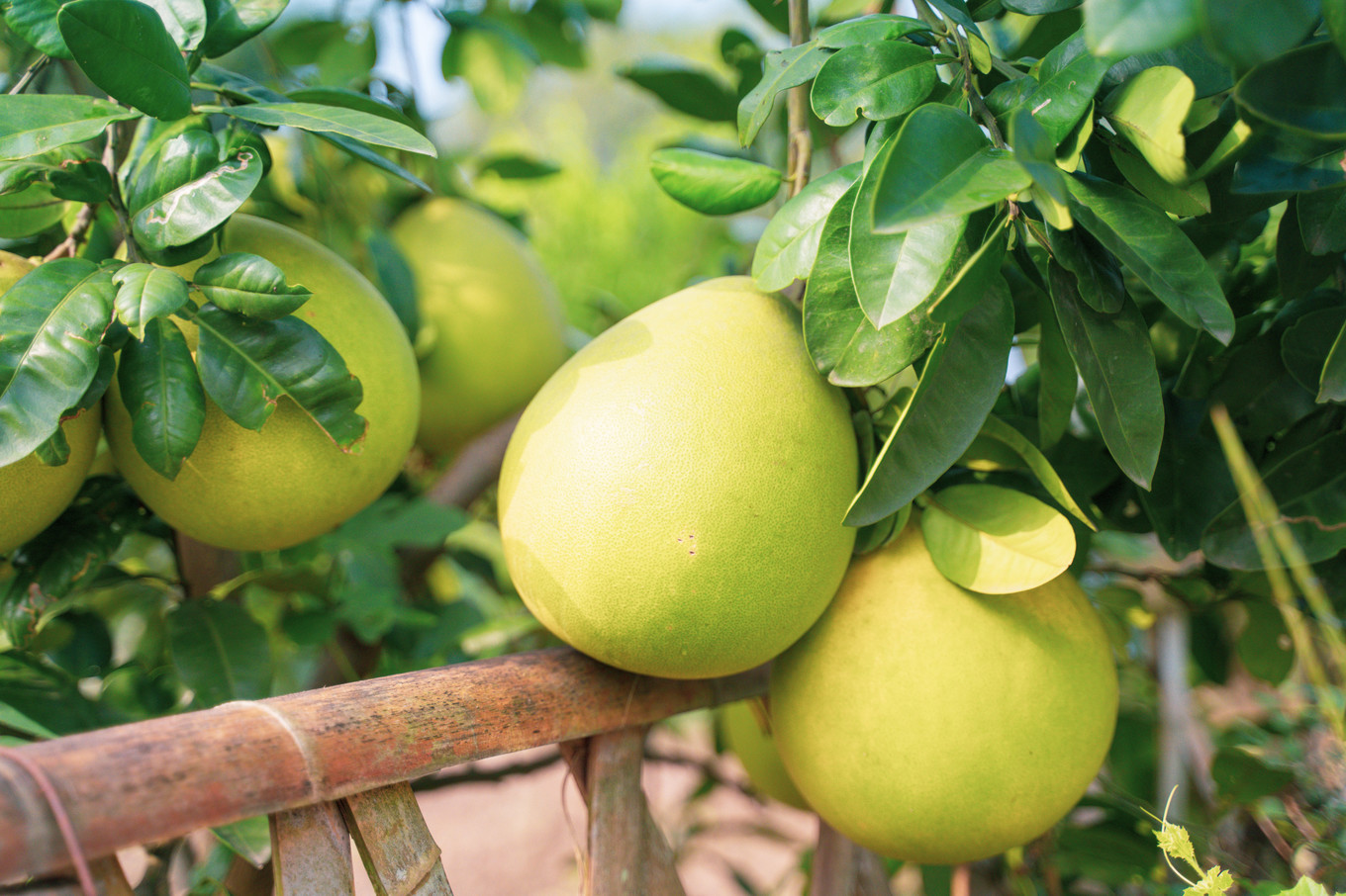 不仅仅是皮革,海清潮静——海宁