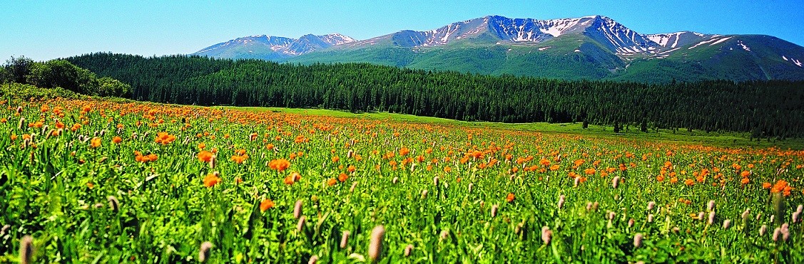 【跋涉边境亲吻祖国】58、奇台：红花似火的边境县…