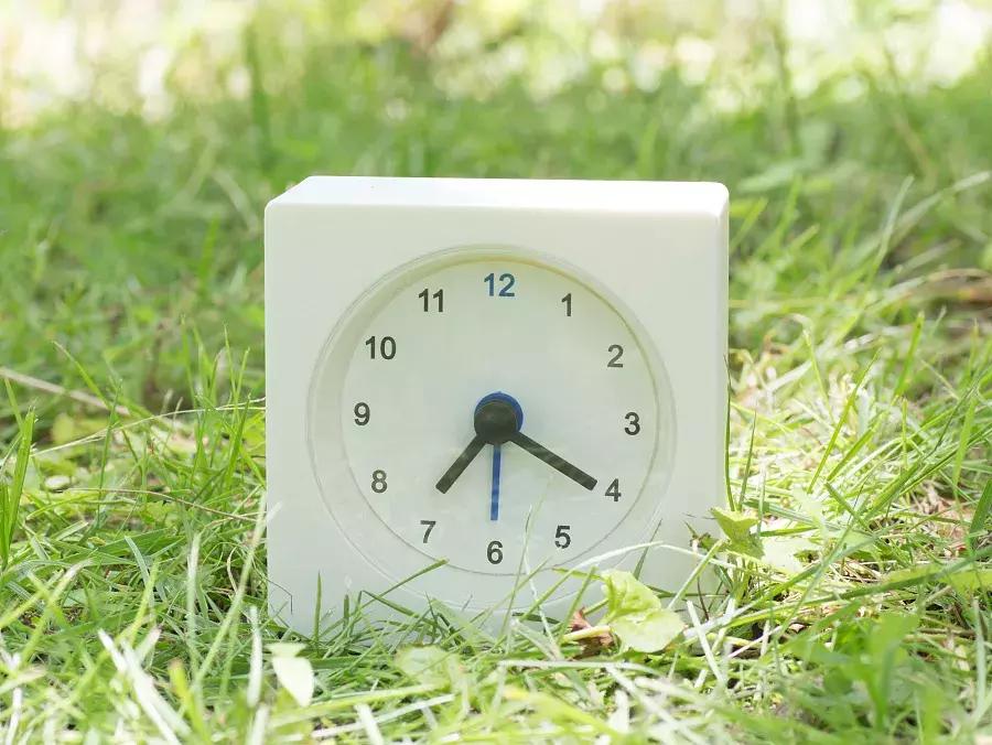 儿童学习家规,学龄前儿童的家规