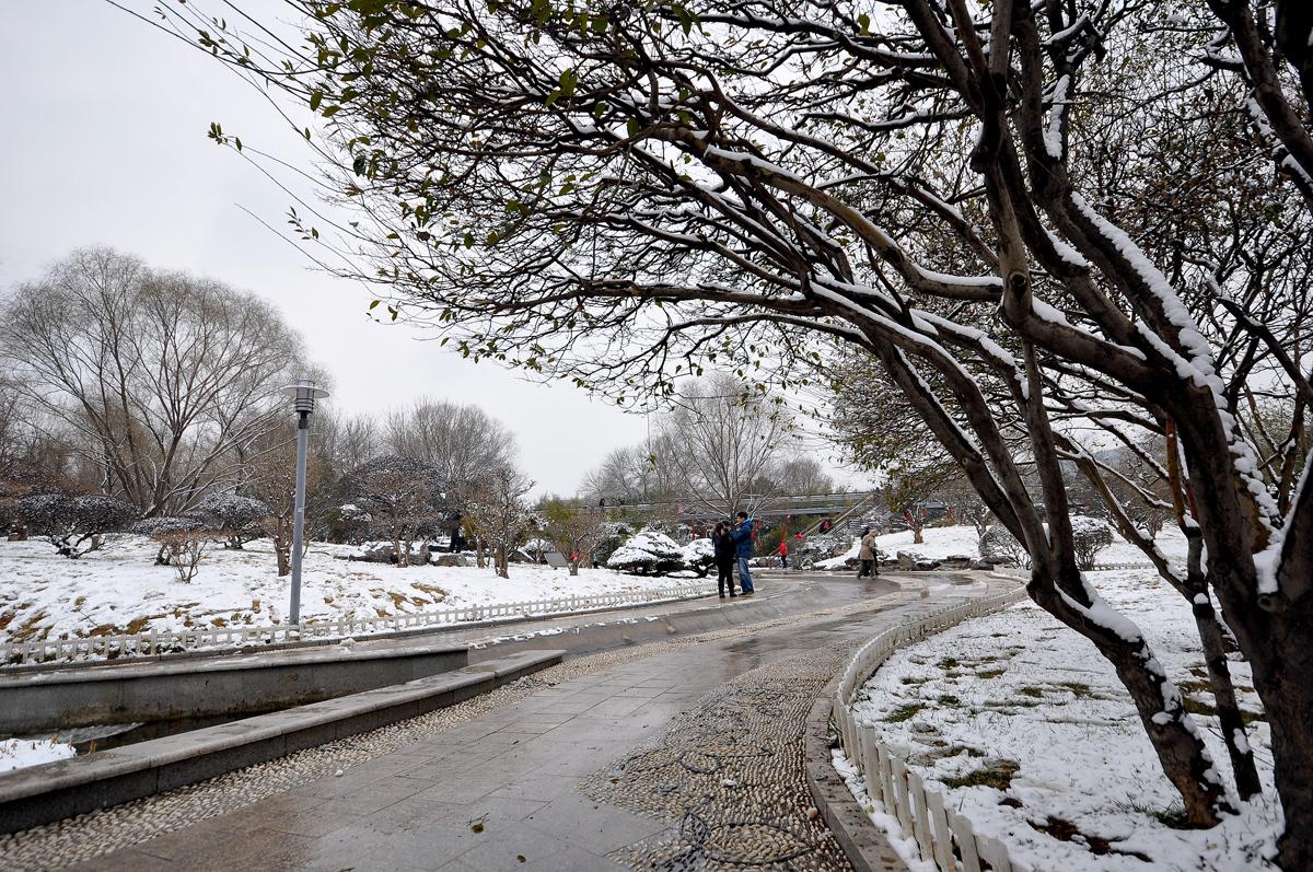天气冷苹果手机还自动关机吗,天气冷苹果手机自动关机为什么