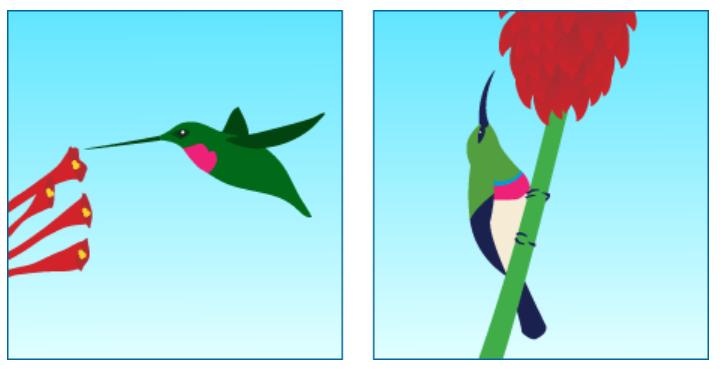 鍙樺紓铚傞笩,铚傞笩鍙樺紓