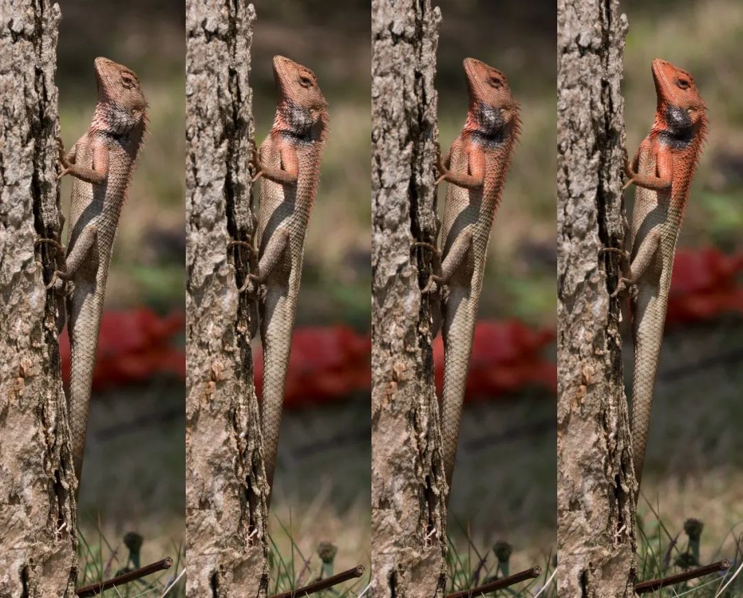 它是蓝颜祸水还是蓝颜薄命,都与你我有关