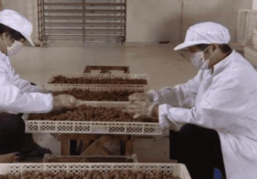 金丝蜜枣是怎么做成的,金丝蜜枣是怎么制成的