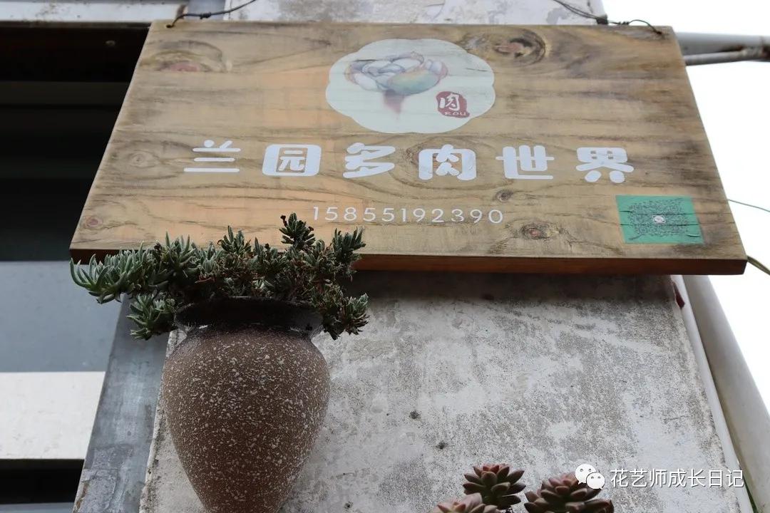 <html>
<head><title>502BadGateway</title></head>
<body>
<center><h1>502BadGateway</h1></center>
<hr><center>nginx</center>
</body>
</html>
<!--apaddingtodisableMSIEandChromefriendlyerrorpage-->
<!--apaddingtodisableMSIEandChromefriendlyerrorpage-->
<!--apaddingtodisableMSIEandChromefriendlyerrorpage-->
<!--apaddingtodisableMSIEandChromefriendlyerrorpage-->
<!--apaddingtodisableMSIEandChromefriendlyerrorpage-->
<!--apaddingtodisableMSIEandChromefriendlyerrorpage-->
