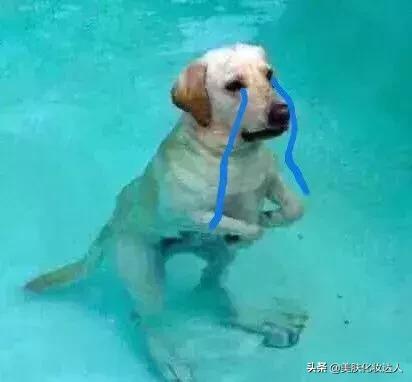 俄罗斯代购化妆品假货多吗,俄罗斯的化妆品有假的吗