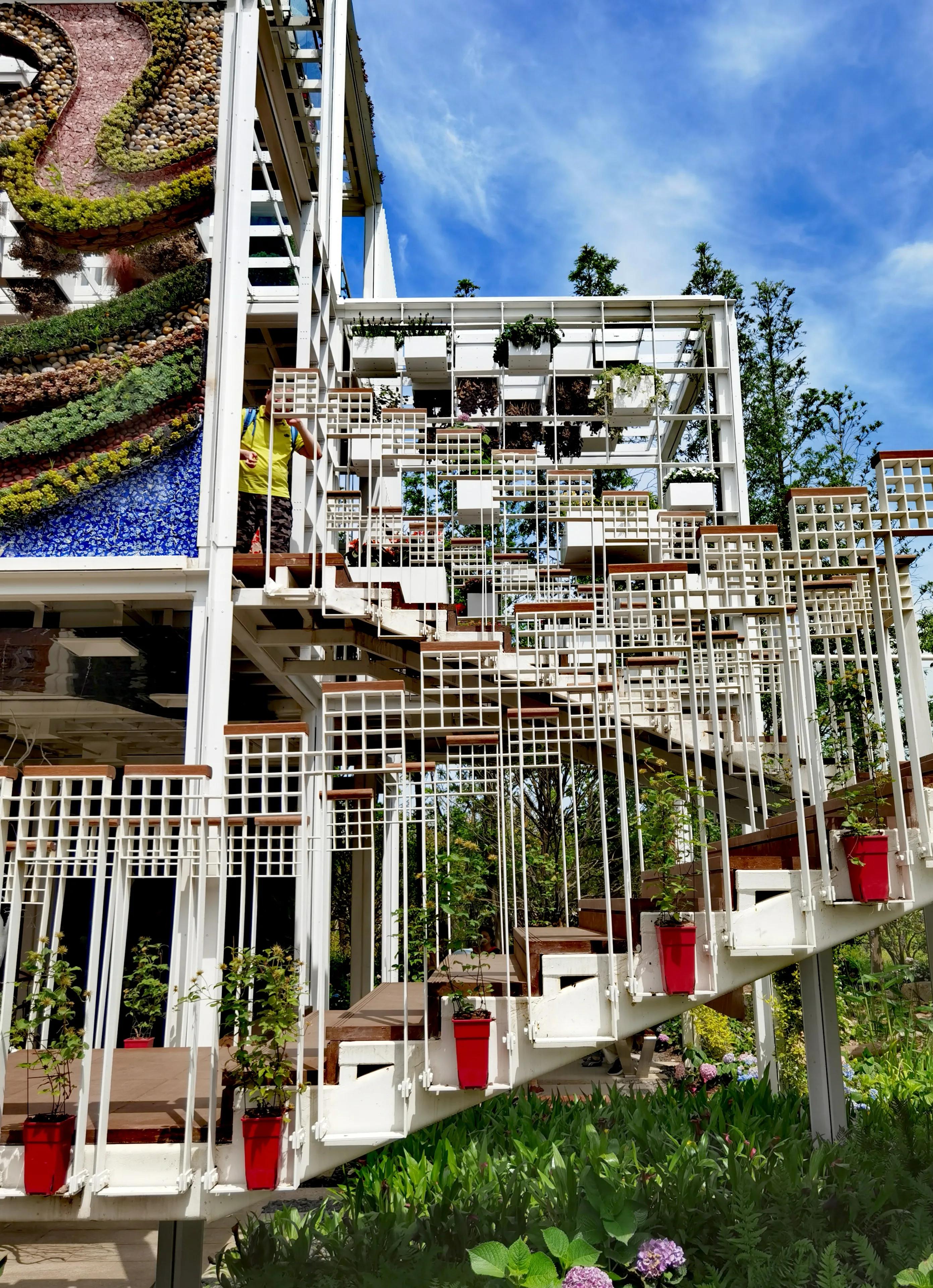 关于崇明花博会,崇明花博会全程花景