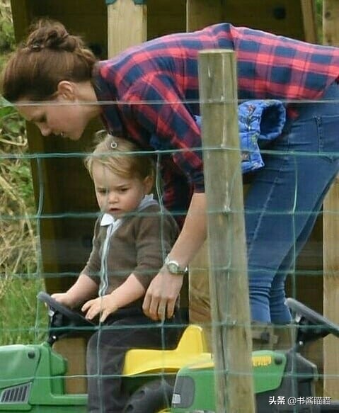 阿奇小时候就被主人抛弃,阿奇小时候生气