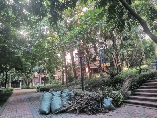 鍝佽川铚曞彉,鍝佽川铦跺彉