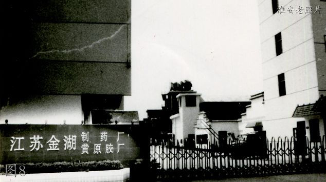 金湖老照片,金湖化肥厂老照片