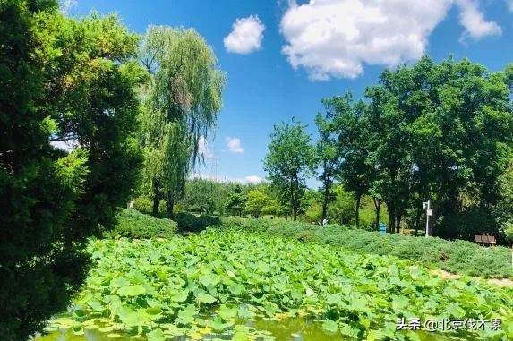 芒种旅游景点推荐,芒种至仲夏节气