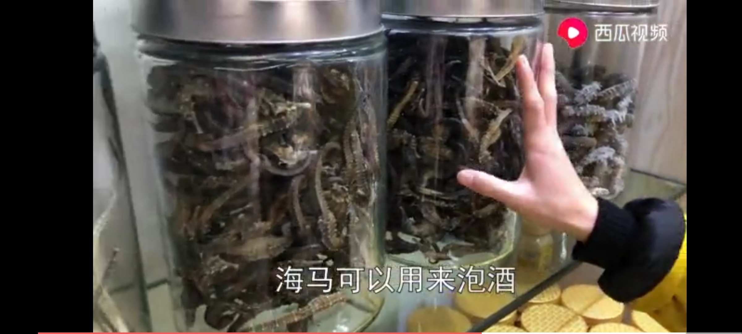 舟山海鲜干货去哪里买,舟山海鲜干货什么地方买