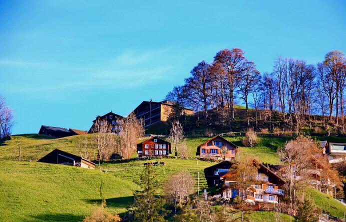 申根签证拒签怎么办理,申根签证被拒签机票怎么办