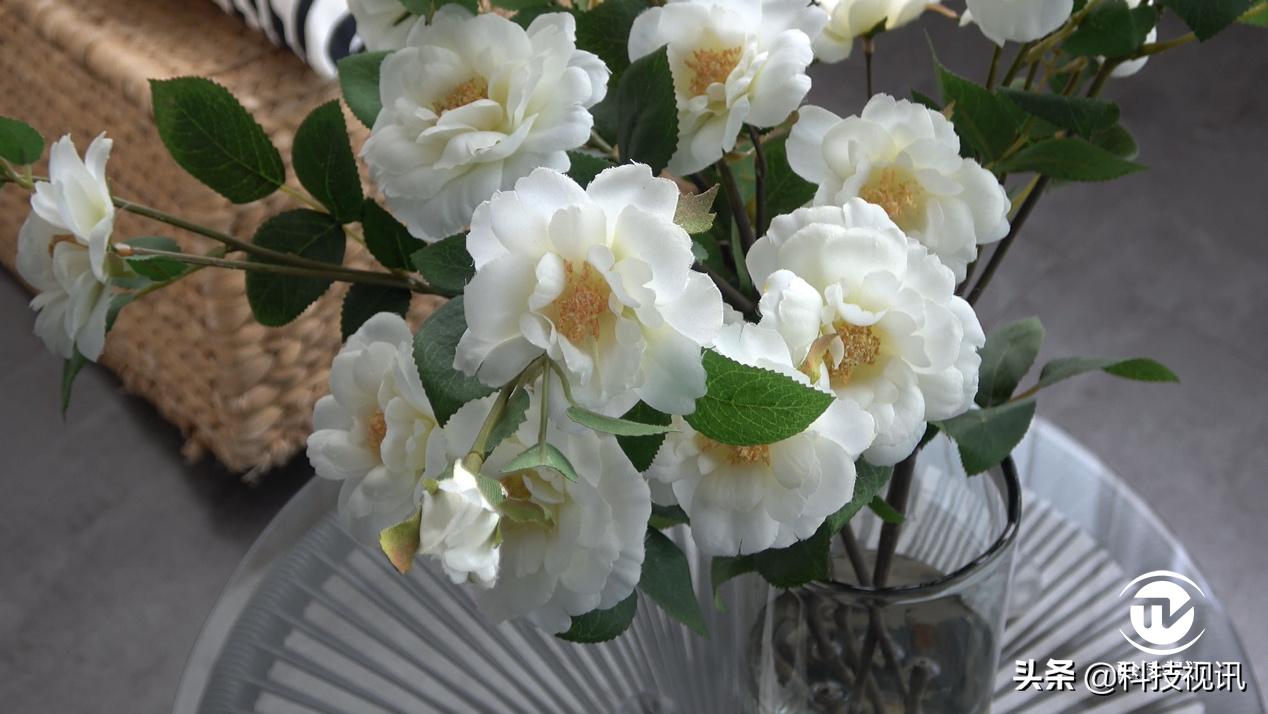 索尼ax60摄像机专注vlog视频创作,索尼hdr-ax60摄像机拍摄效果